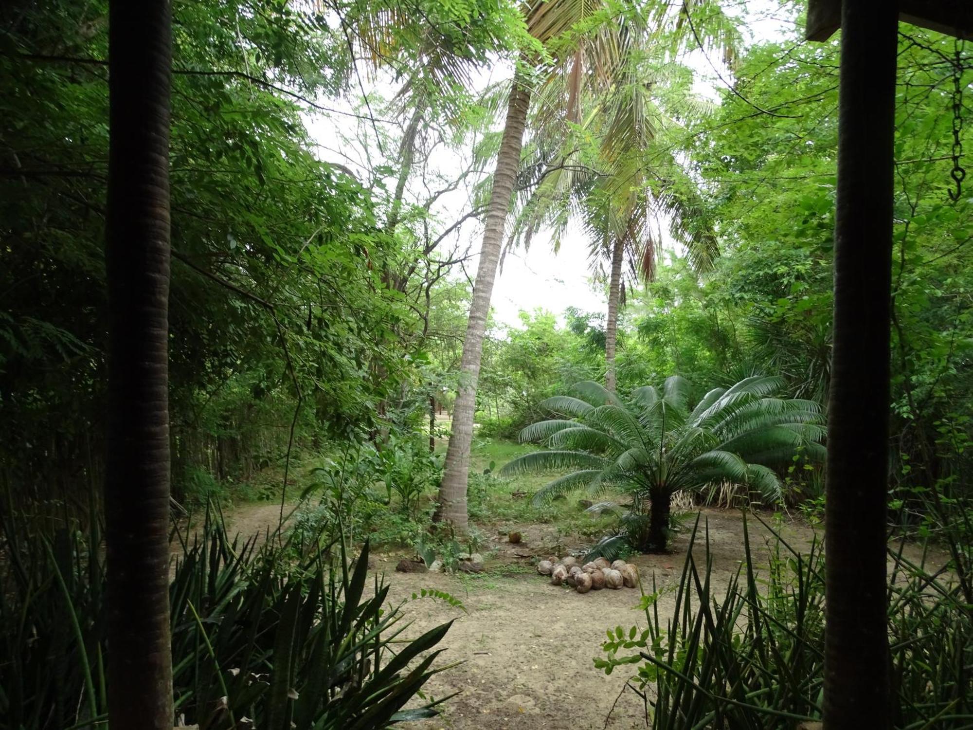 Jungle House Hotel เซามิเกลโดกอสโตโซ ภายนอก รูปภาพ